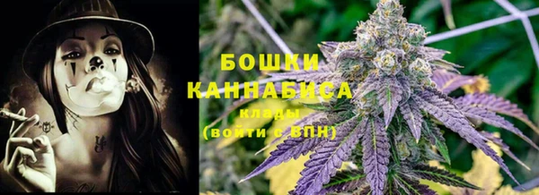PSILOCYBIN Навашино