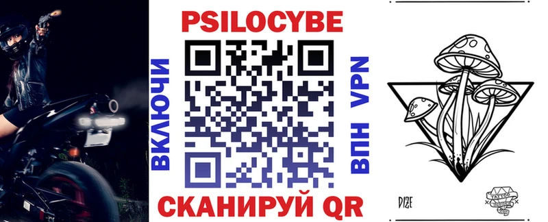 Псилоцибиновые грибы Psilocybe Кудымкар